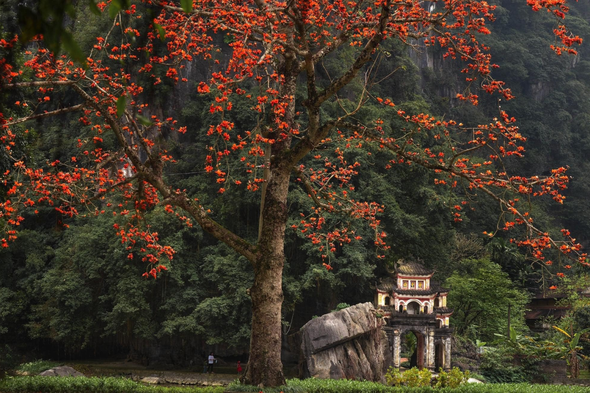  Bich Dong Pagoda in Ninh Binh